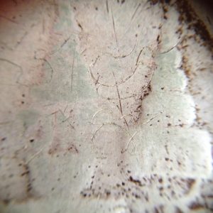 เหรียญเงินบาทร.5 พ.ศ.2412 พระจุลมงกุฏ - พระแสงจักร มีลงจารย์หน้าหลัง เหรียญที่ 1 - Image 4