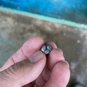 เม็ดเงินโบราณพดด้วงสมัยกรุงสุโขทัยหนักสองสลึงตรา ช้างการ์ตูน -หอยสังข์ คมชัดสวยงาม - Image 4