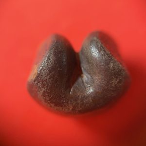 พดด้วงรัตนโกสินทร์เม็ดบาทสมัย ร.3 พ.ศ.2367-2394 ( ตราปราสาท-กรงจักร ) ตราปราสาทสวยงามคมชัดมากๆ (เม็ดที่ 6) - Image 3