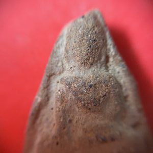 พระนางพญาเนื้อดิน กรุวัดดอนลาน จ. สุโขทัยพิมพ์ใหญ่ อายุเก่าหลายร้อยปีราคาไม่แพงน่าเก็บไว้บูชา องค์ที่ 8 (เลี่ยมกรอบยกซุ้ม) - Image 3