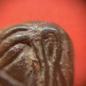 ปิดตาหลวงพ่อเชย - Image 3