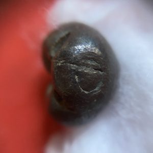 เม็ดเงินพดด้วงวงแหวนเก่าสมัยกรุงสุโขทัย มีบากใหญ่ หนักสามสลึง หายากมากๆ - Image 2