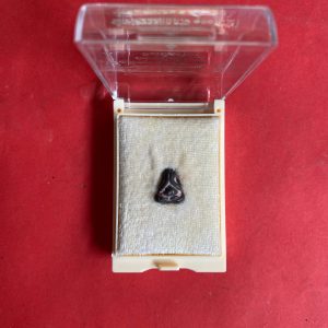 พระปิดตาชินบัญชรเนื้อนวะโลหะผสมทองคำ วาระสมเด็จพระสังฆราชสกลมหาสังฆปริณายกพระชนมายุ 100 พรรษาปี2556 - Image 4