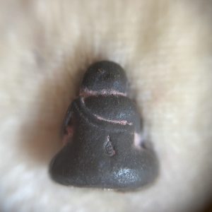 พระปิดตาชินบัญชรเนื้อนวะโลหะผสมทองคำ วาระสมเด็จพระสังฆราชสกลมหาสังฆปริณายกพระชนมายุ 100 พรรษาปี2556 - Image 2