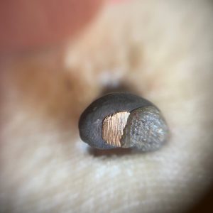 พระปิดตาชินบัญชรเนื้อนวะโลหะผสมทองคำ วาระสมเด็จพระสังฆราชสกลมหาสังฆปริณายกพระชนมายุ 100 พรรษาปี2556 - Image 3