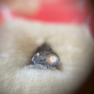 พระชัยวัฒน์ชินบัญชรเนื้อนวะโลหะผสมทองคำ วาระสมเด็จพระสังฆราชสกลมหาสังฆปริณายกพระชนมายุ 100 พรรษาปี2556 - Image 3