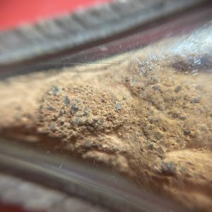 พระนางกรุบ้านพงพิมพ์ใหญ่ เป็นพระกรุสุโขทัย อายุกว่า700ปี เนื้อดินเก่าสภาพสวยงามเลี่ยมเงินโบราณพร้อมใช้ (เนื้อเก่าน่าศึกษา) - Image 3