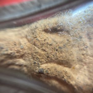 พระนางกรุบ้านพงพิมพ์ใหญ่ เป็นพระกรุสุโขทัย อายุกว่า700ปี เนื้อดินเก่าสภาพสวยงามเลี่ยมเงินโบราณพร้อมใช้ (เนื้อเก่าน่าศึกษา) - Image 4