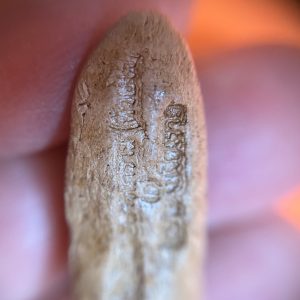 พระรอดเนื้อดินมีหน้าตา ด้านหลังมีปั้มบล็อกตัวหนังสือจม ไม่ทราบวัดและพิธี - Image 3