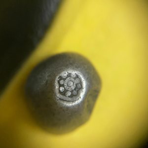 พดด้วงเม็ด 1 บาทสมัยพระนารายณ์ปี พ.ศ. 2199-2231ตราครุฑ (เป็นครุฑก้าวหน้า) เม็ดที่ 17 ตราประจำแผ่นดินชัดมากๆ - Image 2