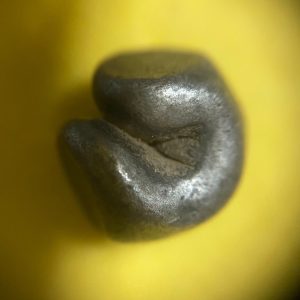 พดด้วงเม็ด 1 บาทสมัยพระนารายณ์ปี พ.ศ. 2199-2231ตราครุฑ (เป็นครุฑก้าวหน้า) เม็ดที่ 17 ตราประจำแผ่นดินชัดมากๆ - Image 3