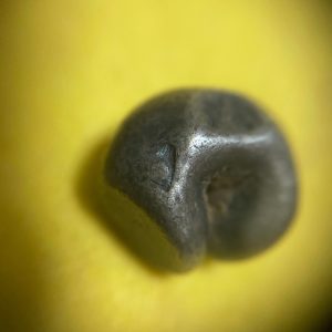 พดด้วงเม็ด 1 บาทสมัยพระนารายณ์ปี พ.ศ. 2199-2231ตราครุฑ (เป็นครุฑก้าวหน้า) เม็ดที่ 17 ตราประจำแผ่นดินชัดมากๆ - Image 4