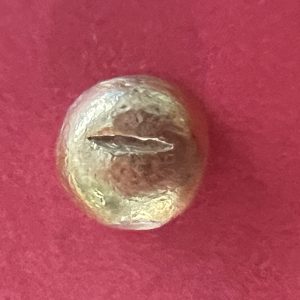 เงินทองคำโบราณยุคศรีวิชัย (นโม) - Image 3