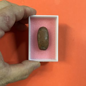 พระลีลาเม็ดขนุนเนื้อดินผสมเนื้อว่านและเกสรดอกไม้ - Image 3